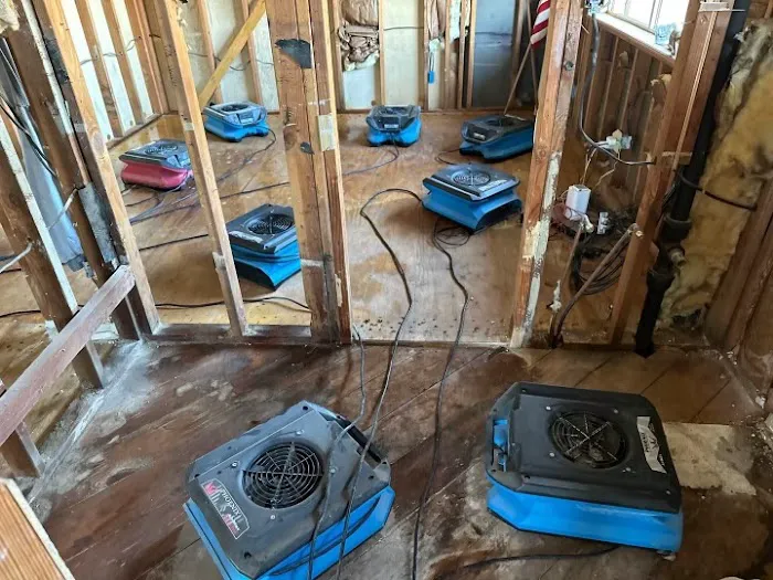 Wet To Dry Restoration Picture 2