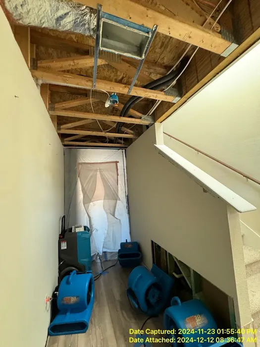 Alpha One Restore Picture 6