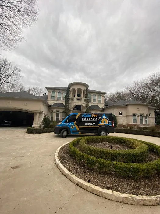 Alpha One Restore Picture 1