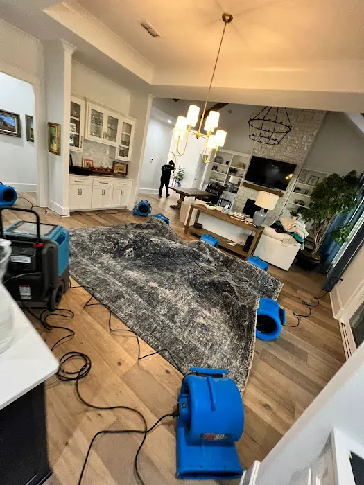 Alpha One Restore Picture 9