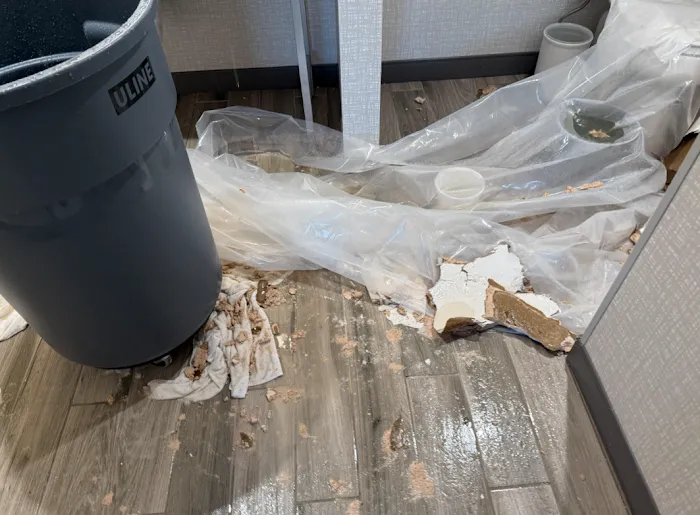 Mr Restore Picture 8