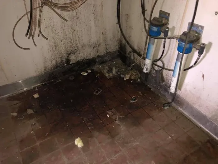 Flood Warriors Water Damage Restoration Picture 6