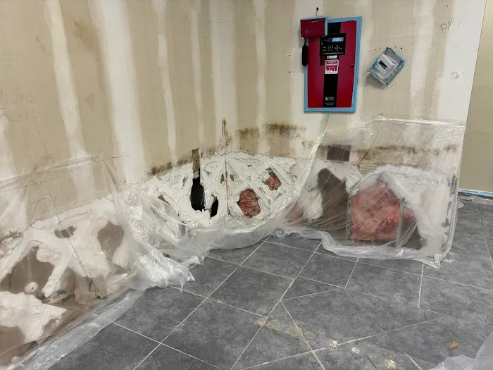 1-800 Water Damage of North Dallas Picture 8