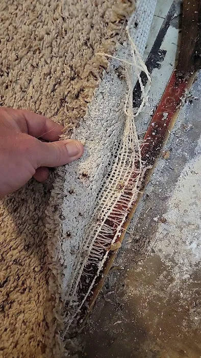 PuroClean of North McKinney Picture 3