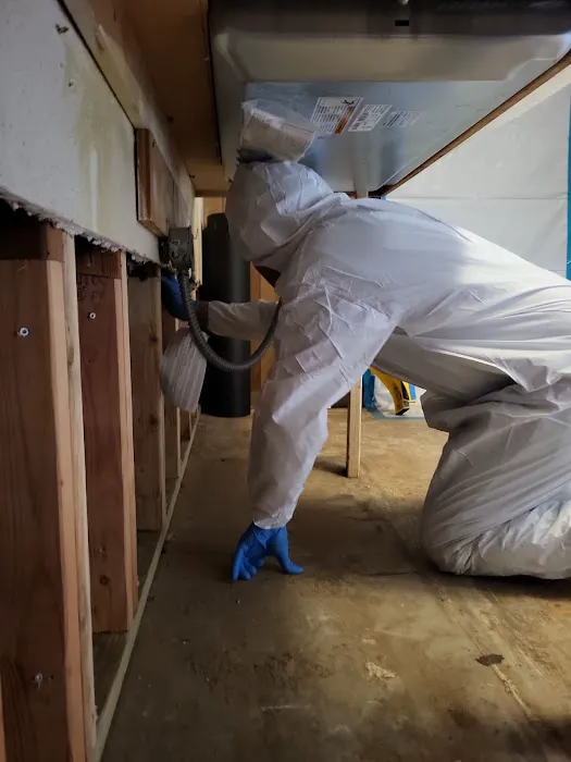 B-Line Flood Restoration Picture 3