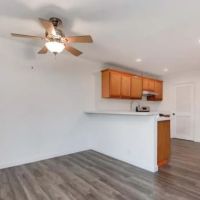 B-Line Flood Restoration ico