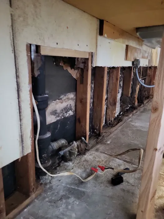 B-Line Flood Restoration Picture 10