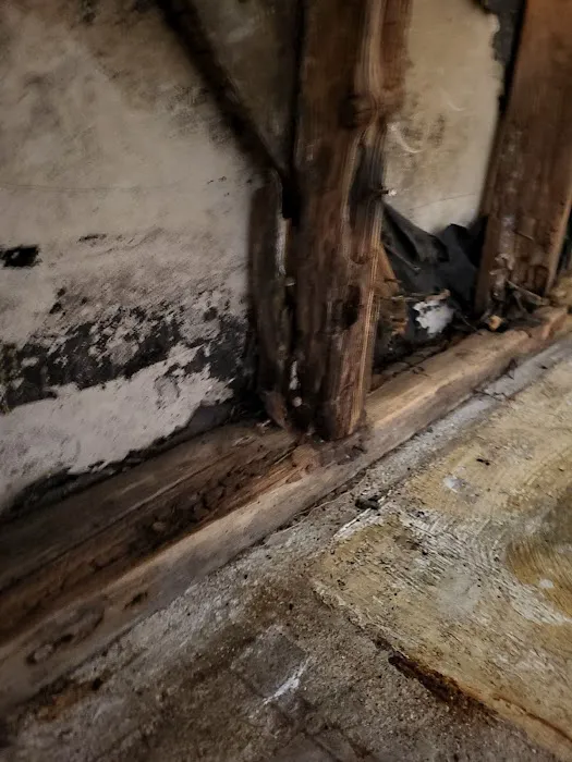 B-Line Flood Restoration Picture 5