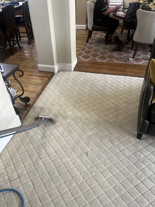 Spotless Carpet Cleaning and Restoration Picture 3