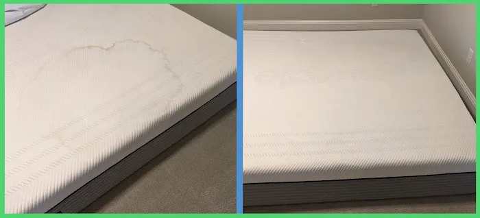 Spotless Carpet Cleaning and Restoration Picture 7