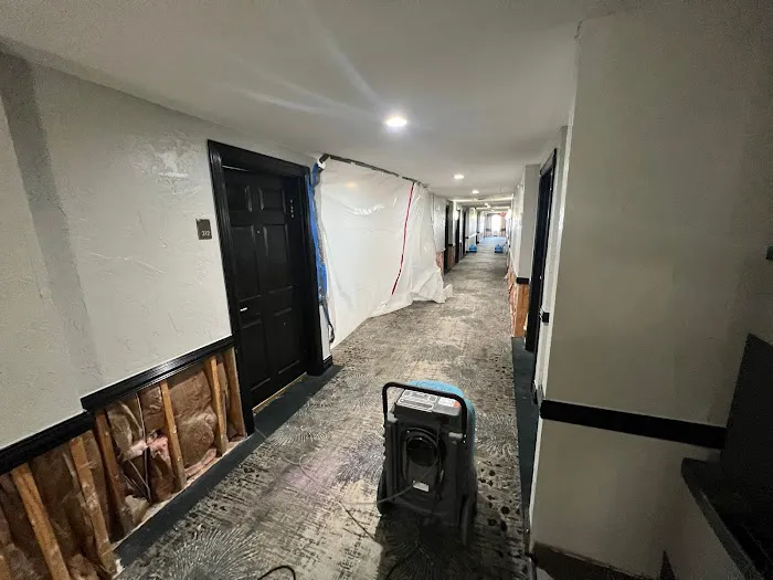 Pineapple Restorations Picture 6