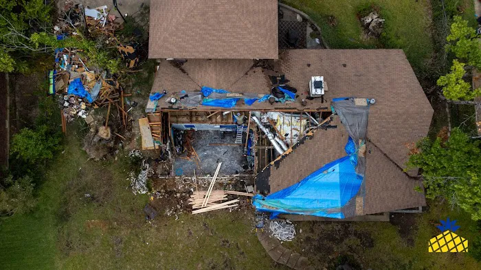 Pineapple Restorations Picture 3