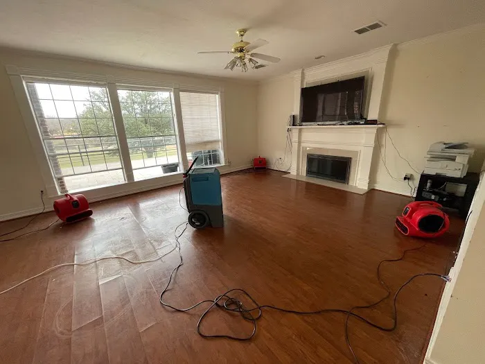 Pineapple Restorations Picture 7