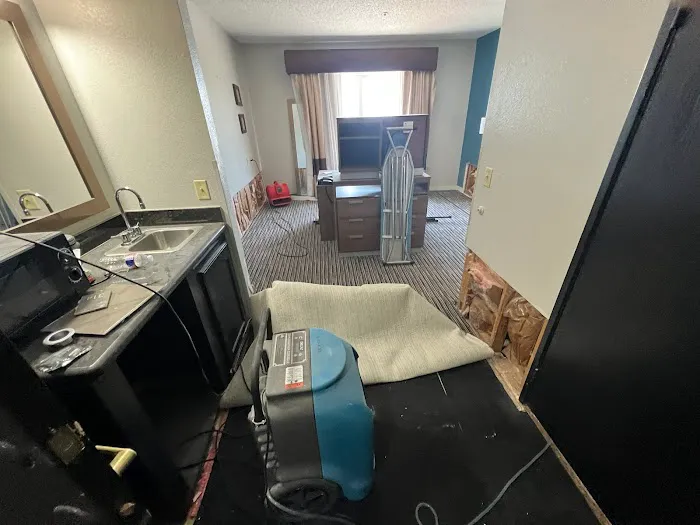 Pineapple Restorations Picture 9