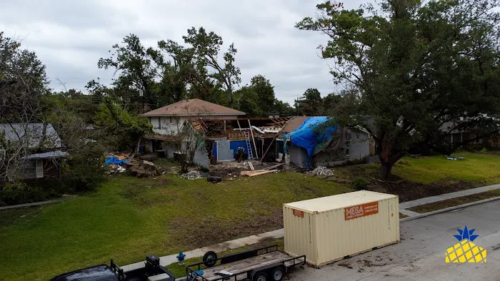 Pineapple Restorations Picture 2