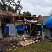 Pineapple Restorations ico