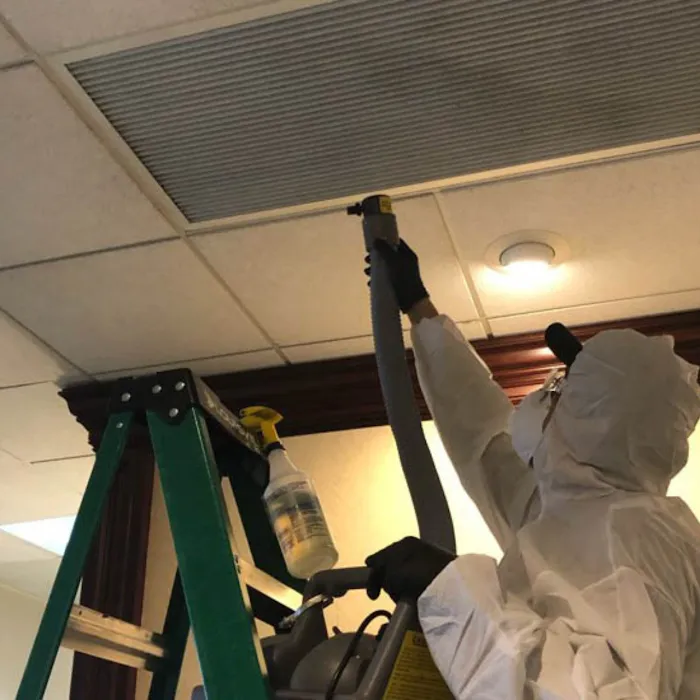 United Water Restoration Group of McKinney Picture 7