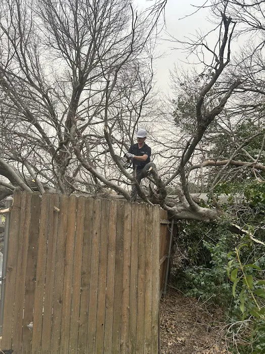 Paul Davis Restoration of Northeast Texas Picture 8