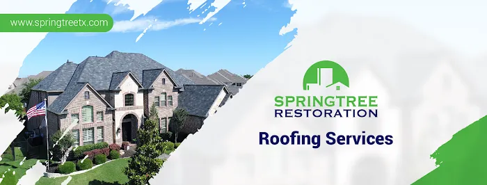 Springtree Restoration - Allen, TX Picture 4