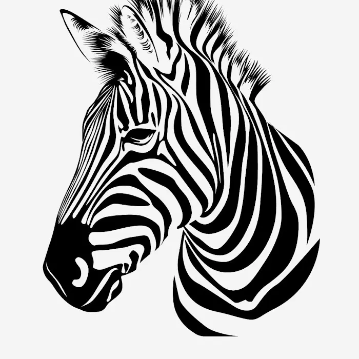 Zebra Ranch Picture 3