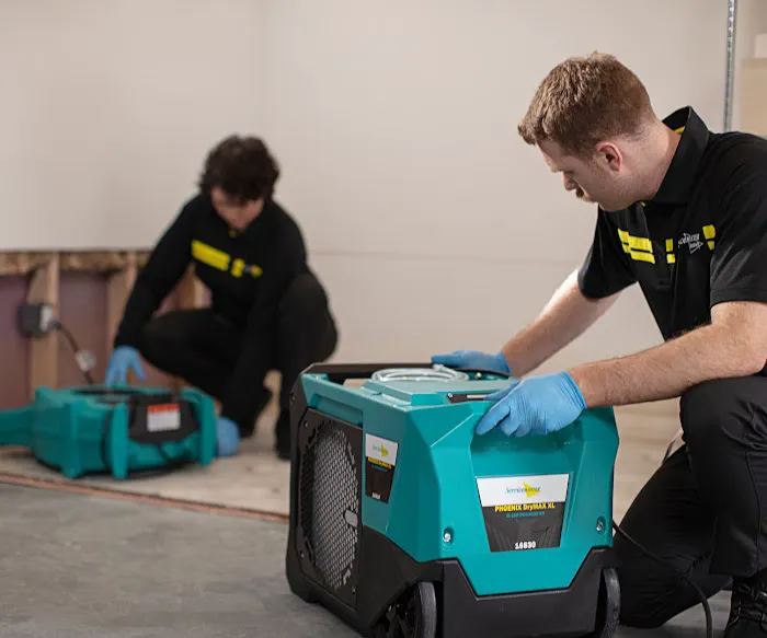 ServiceMaster Restore NWLA Picture 5