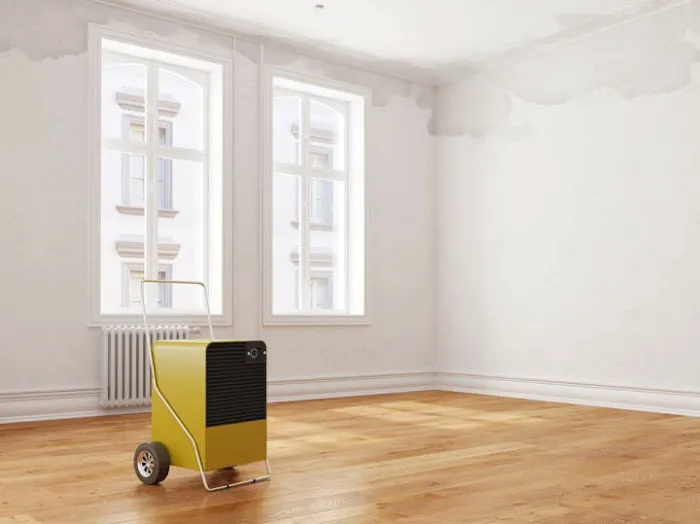 Bear's Restoration Picture 5