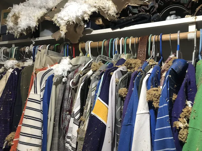 SERVPRO of South Shreveport, Bossier Picture 1