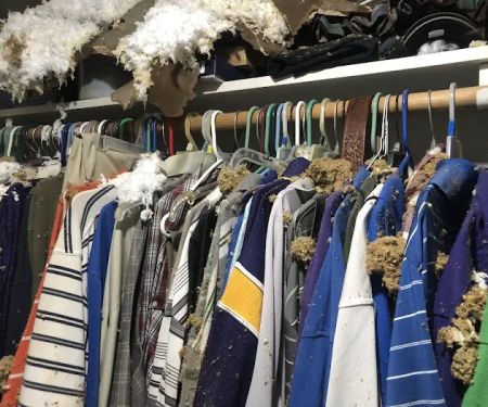 SERVPRO of South Shreveport, Bossier