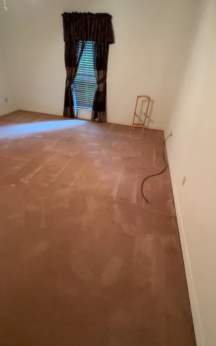 Stanley Steemer Picture 3