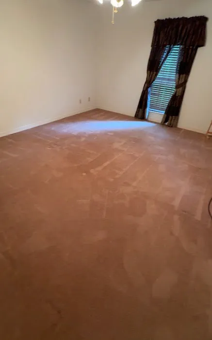 Stanley Steemer Picture 9