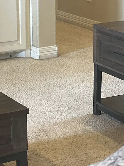 Stanley Steemer Picture 7