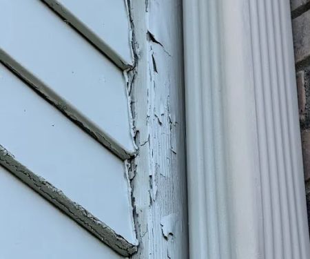 That 1 Painter Shreveport-Bossier