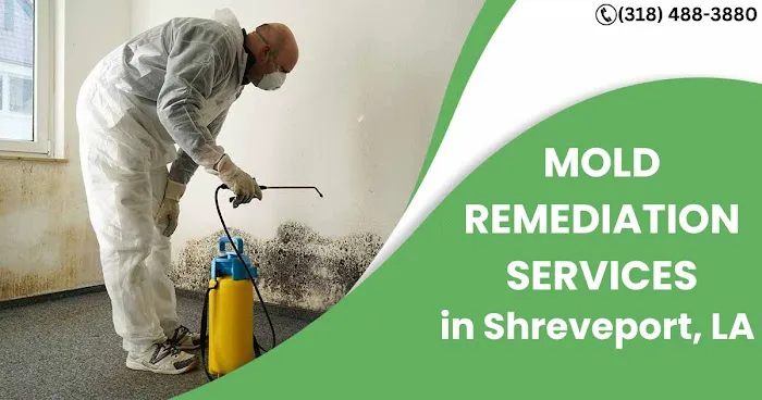 Jagoj Mold Remediation Shreveport Picture 3