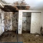 Jagoj Mold Remediation Shreveport