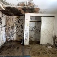Jagoj Mold Remediation Shreveport ico