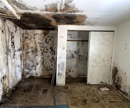 Jagoj Mold Remediation Shreveport