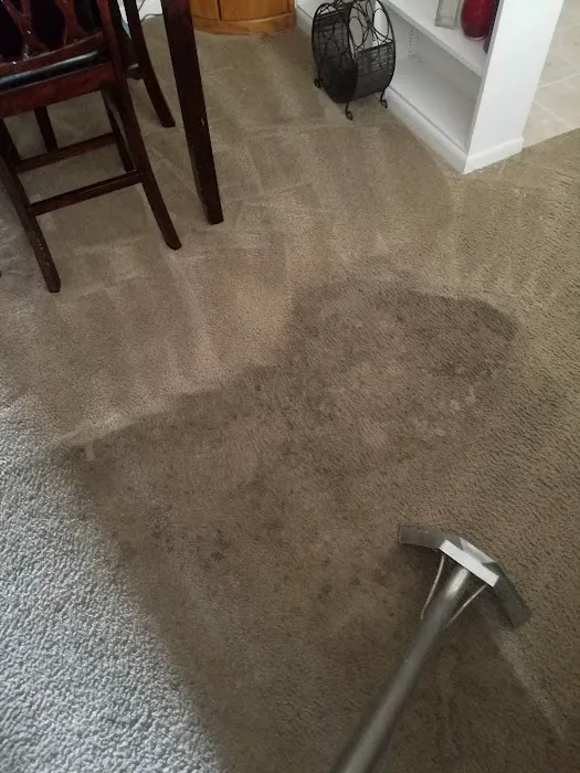 Carpet Specialist and Restoration Picture 5