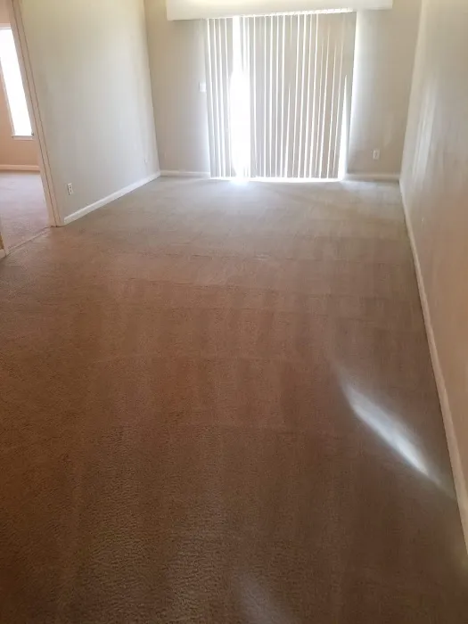 Carpet Specialist and Restoration Picture 2