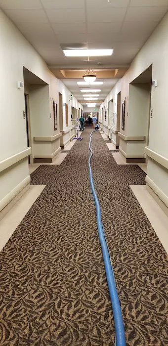 Carpet Specialist and Restoration Picture 7