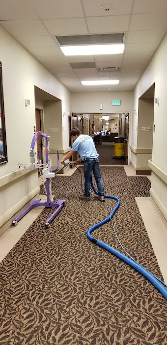 Carpet Specialist and Restoration Picture 6