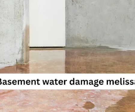 Water Damage Restoration Melissa