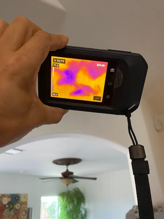 Intensa Dry Restoration Picture 4