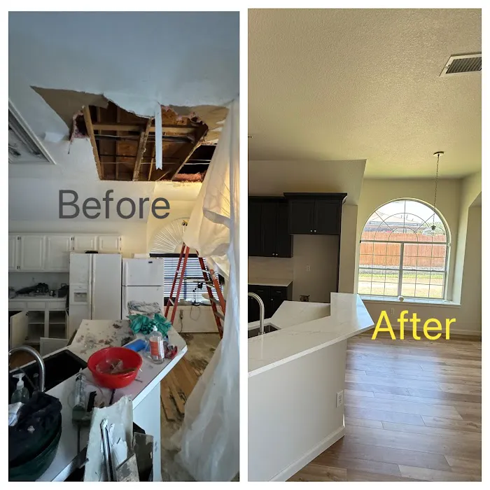 Intensa Dry Restoration Picture 3