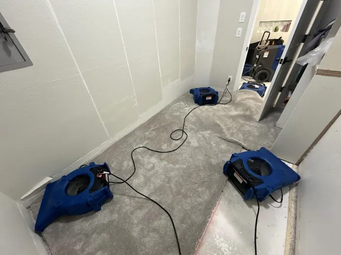 Intensa Dry Restoration Picture 7