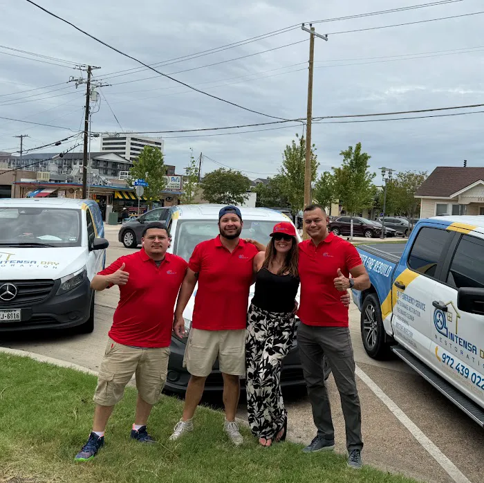 Intensa Dry Restoration Picture 10