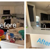 Intensa Dry Restoration ico