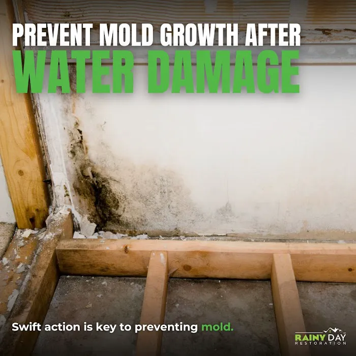 Rainy Day Restoration and Roofing Picture 3