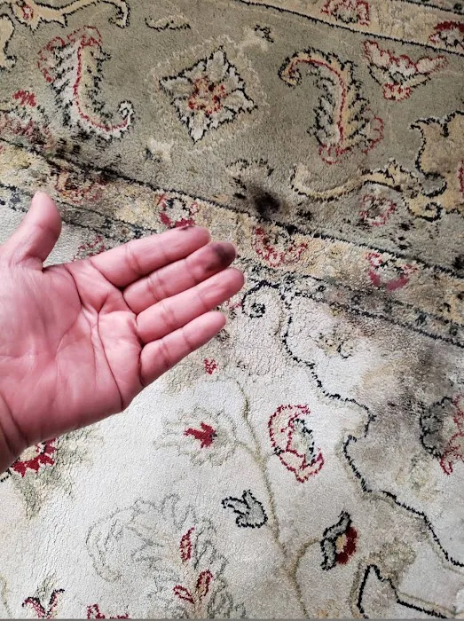 Kiwi Services Picture 3