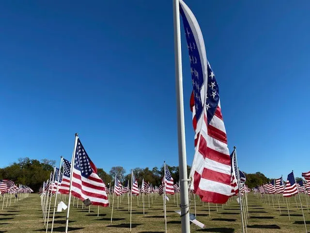 Allied Restoration & Construction Picture 7