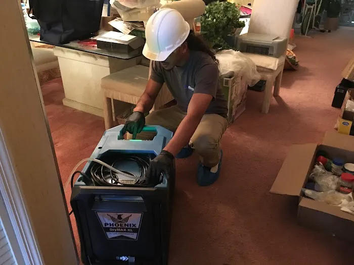 Allied Restoration & Construction Picture 5